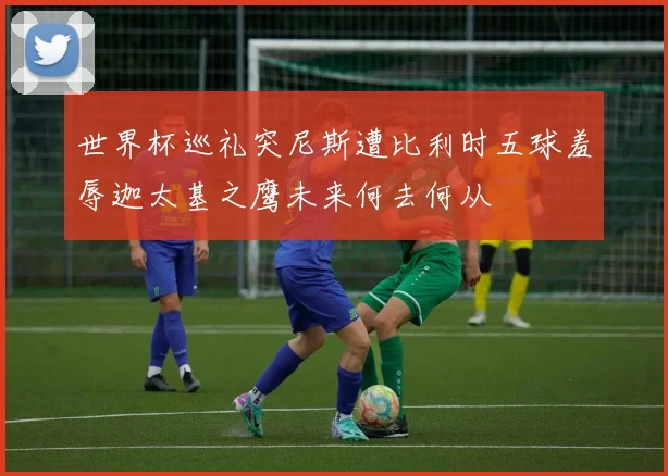 世界杯巡礼突尼斯遭比利时五球羞辱迦太基之鹰未来何去何从
