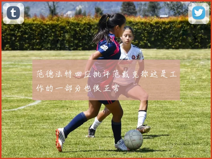 范德法特回应批评范戴克称这是工作的一部分也很正常