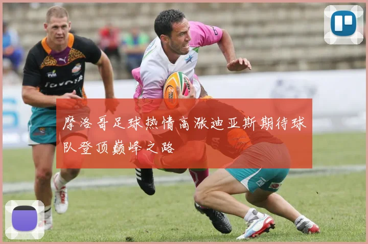 摩洛哥足球热情高涨迪亚斯期待球队登顶巅峰之路
